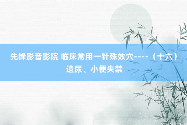 先锋影音影院 临床常用一针殊效穴----（十六） 遗尿、小便失禁