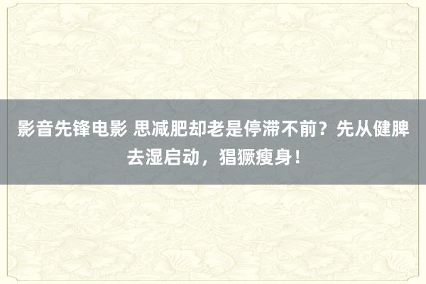 影音先锋电影 思减肥却老是停滞不前？先从健脾去湿启动，猖獗瘦身！