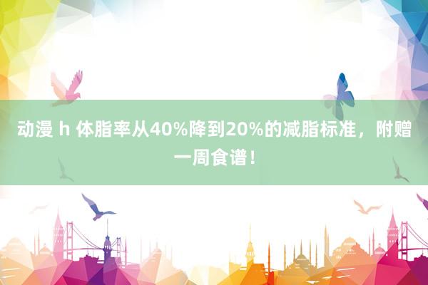 动漫 h 体脂率从40%降到20%的减脂标准，附赠一周食谱！