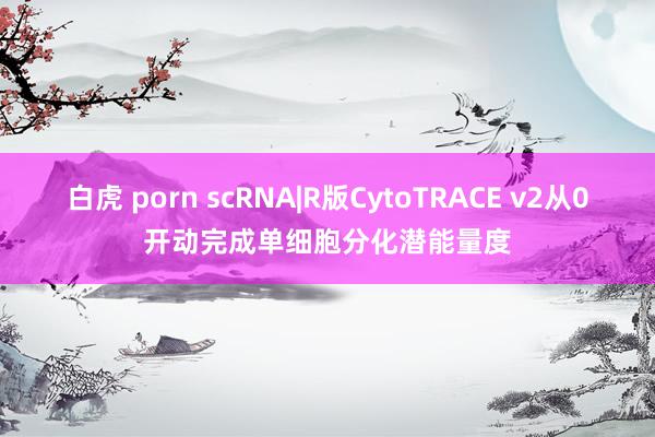 白虎 porn scRNA|R版CytoTRACE v2从0开动完成单细胞分化潜能量度