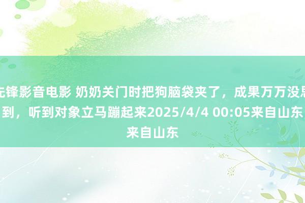 先锋影音电影 奶奶关门时把狗脑袋夹了，成果万万没思到，听到对象立马蹦起来2025/4/4 00:05来自山东